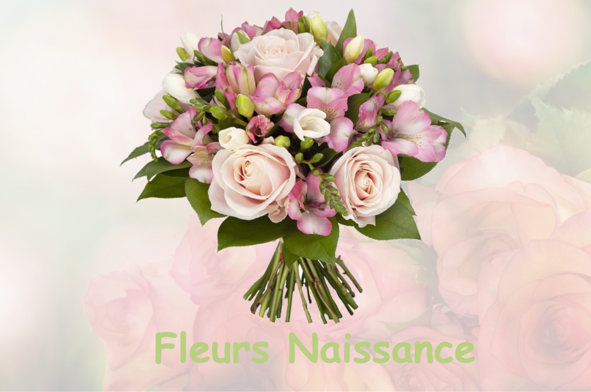 fleurs naissance NANGEVILLE